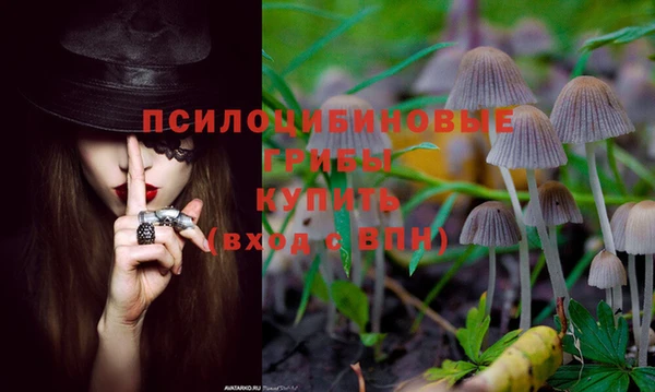 spice Пересвет