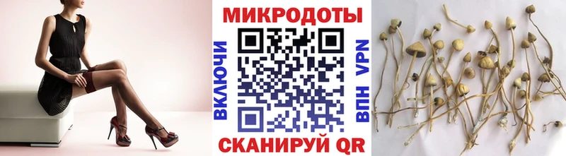 Псилоцибиновые грибы Magic Shrooms  blacksprut tor  Чаплыгин 
