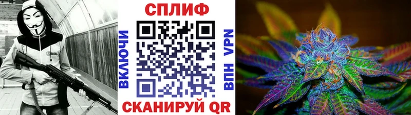 где можно купить наркотик Чаплыгин Конопля конопля
